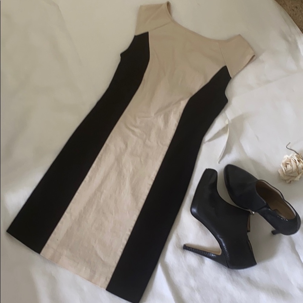 Petticoat Alley Black and Cream Mini Dress